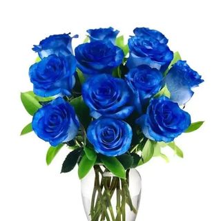 11 roses blue