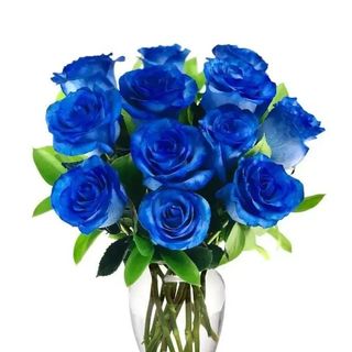 11 roses blue
