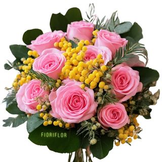 Mimosa with pink roses