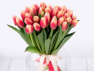 mazzo di 30 tulipani ( Fiore Fresco dall'Olanda )