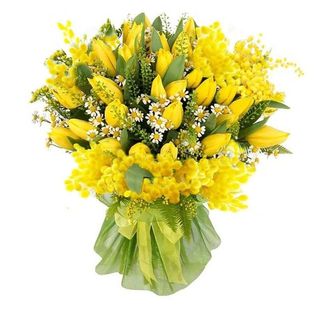 Mazzo Tulipani Gialli e Mimosa