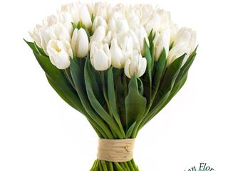 mazzo di 30 tulipani bianchi
