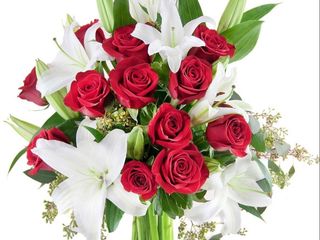 Lili  love con rossa