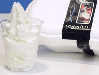 Frozen Yogurt asporto 750 g