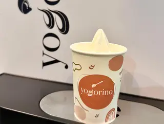 Frozen Yogurt Piccolo