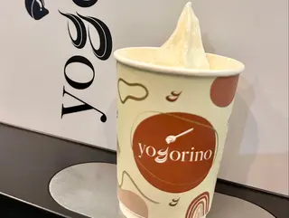 Frozen Yogurt Grande