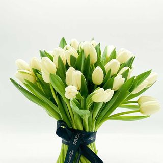 White tulips bouquet