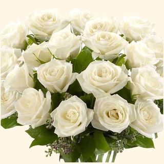 15 white Roses