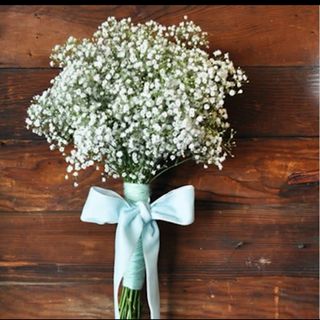 Bunch of Gypsophila