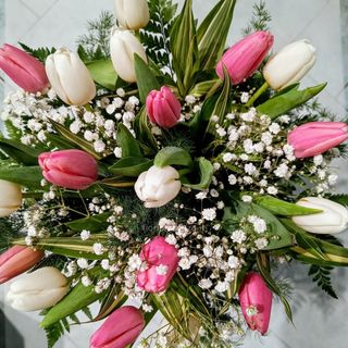 White with pink tulips
