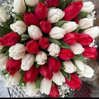 Colourful valentines