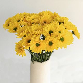 Yellow bunch of margherita