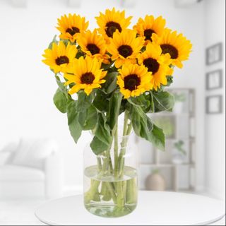 Bouquet of 10 sunflowers