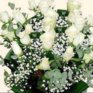 Bouquet of white roses