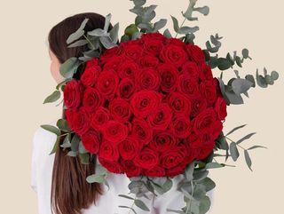 Rose Rosse san valentino
