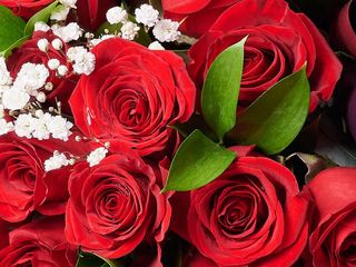 Valentines Day 36 red roses bouquet