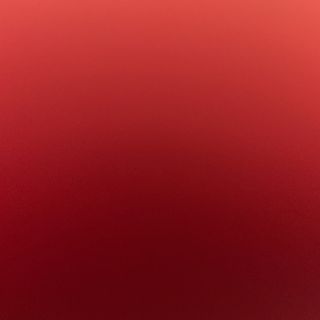 Panino con hamburger insalata pomodoro