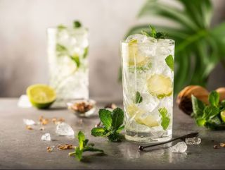 Mojito