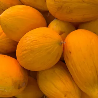 melone