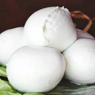 mozzarella di bufala