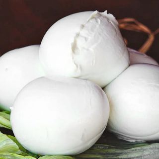 mozzarella di bufala