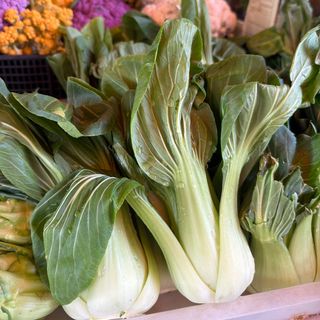 pakchoi