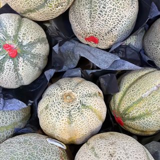 melone