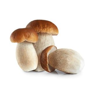 Porcinaro