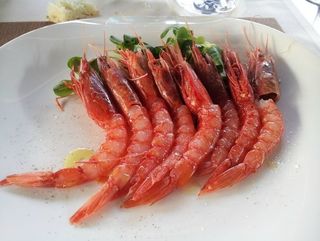 Gamberi rossi Mazara del vallo (1 pezzo)