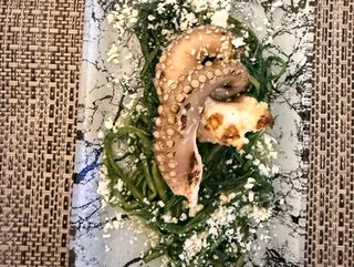 Polpo Rosticciato con Cicoria e Pecorino