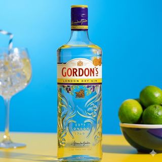 GORDON'S 700ml