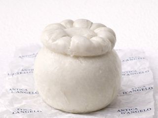 Moscione Fresco - 500