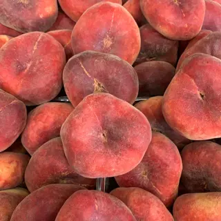 Pesche