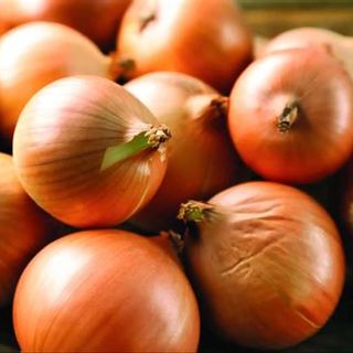 Cipolle Bianche – 5kg