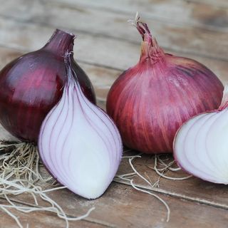 Cipolle Rosse – 5kg