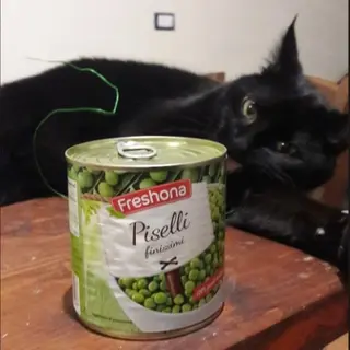 Piselli fini270g