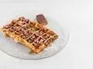 Waffle Lion