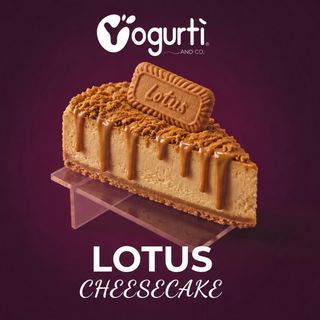 Lotus Cheesecake