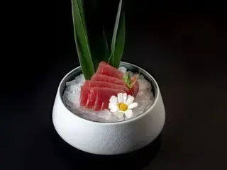 Sashimi maguro