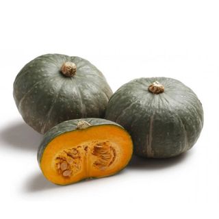 Zucca Delica