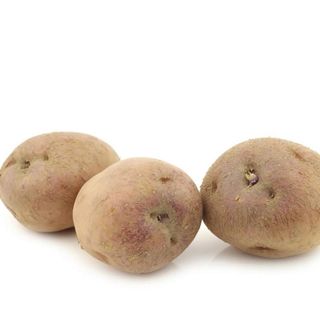 Patate Olanda