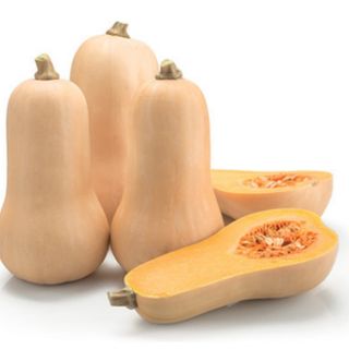 Zucca Violina