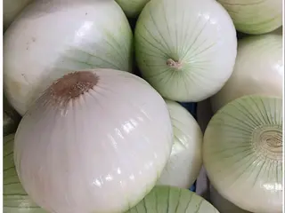 Cipolla bianca 500gr