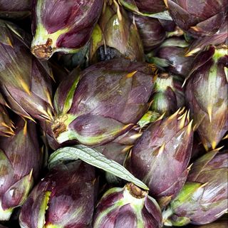 Carciofina gr500