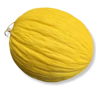 Melone giallo cada 1