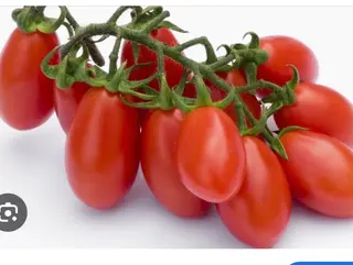 Pomodori Datterino 500gr