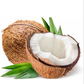 Noce di Cocco cada 1