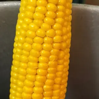 Pannocchie cada 1