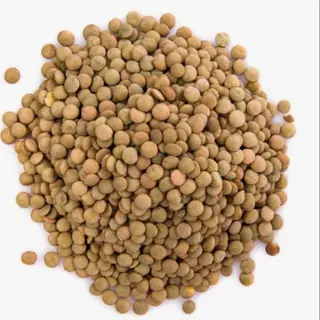 Lenticche 500gr