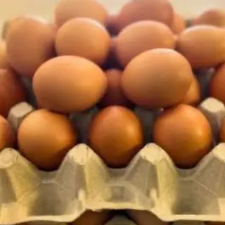 Uova fresche di giornata cada 1